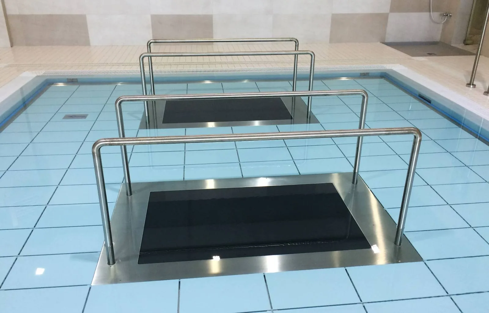 Дорожка беговая для гидротерапии Pooltrack Professional